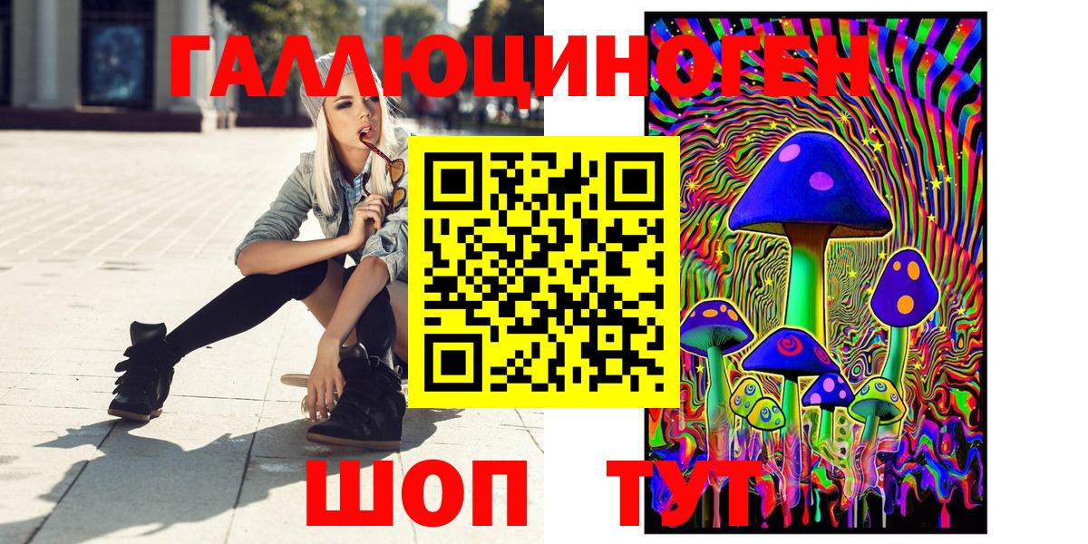 Самара  Псилоцибиновые грибы Psilocybe  Вход с VPN 