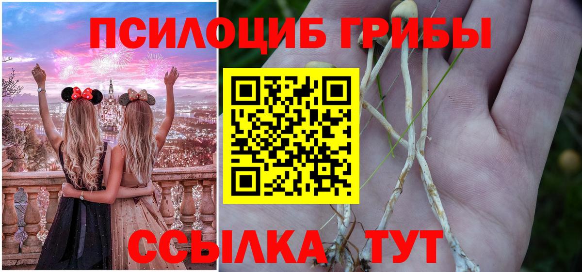 Галлюциногенные грибы ЛСД Самара